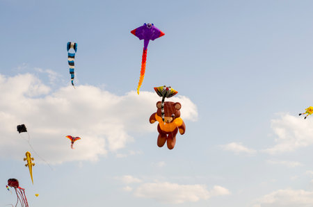 kite flying in the skyの写真素材
