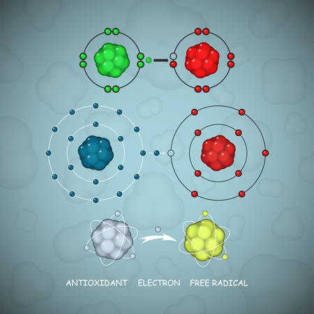 Antioxidant and free radical molecules or atoms vector set an illustration of a way how antioxidant works by donating an electron to match unpaired one of the free radical and form stable moleculeのイラスト素材