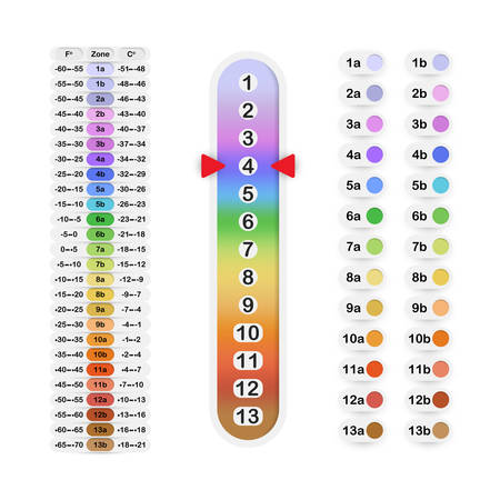 Plant hardiness zones signs with color and number markings, USDA cold hardiness zones table with temperature ranges, plant hardiness color scale for agriculture and gardeningのイラスト素材
