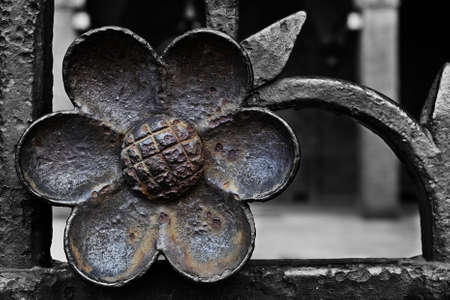 Fiore di ferro