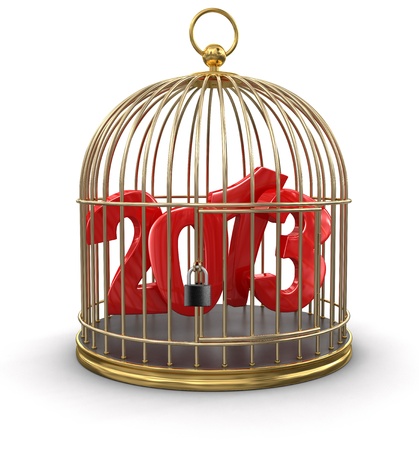 Gold Cage with 2013  の写真素材