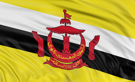 3D Brunei flagの写真素材
