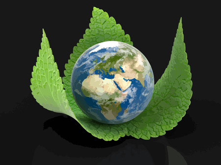 3d Globe on leaves. Imageのイラスト素材