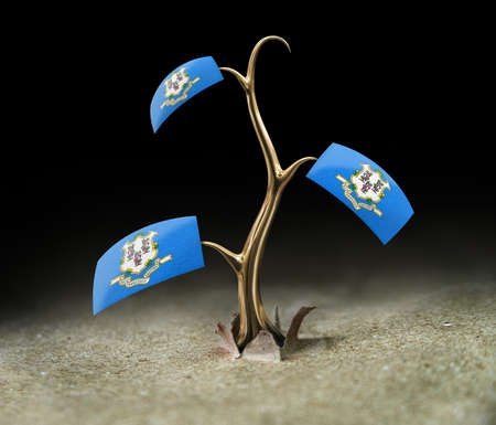 3d sprout with Connecticut flag on blackの写真素材