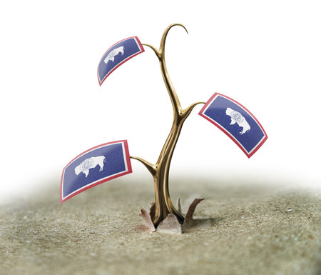 3d sprout with Wyoming flag on white (clipping path included)の写真素材