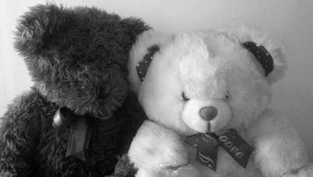 Two teddy bearsの素材