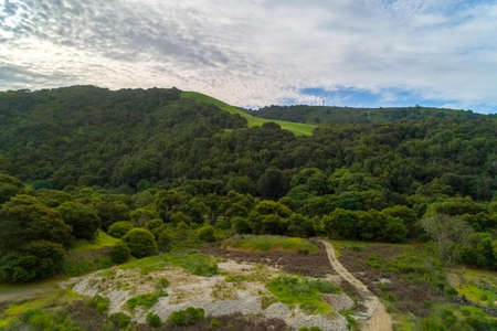 This area was once a Carnegie brick factory, now itâs over run by trains, turkeys, and blacktail deerの写真素材