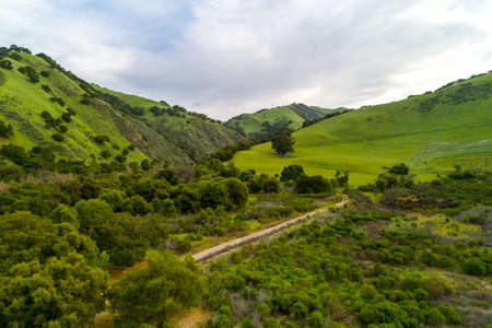 This area was once a Carnegie brick factory, now itâs over run by trains, turkeys, and blacktail deerの写真素材