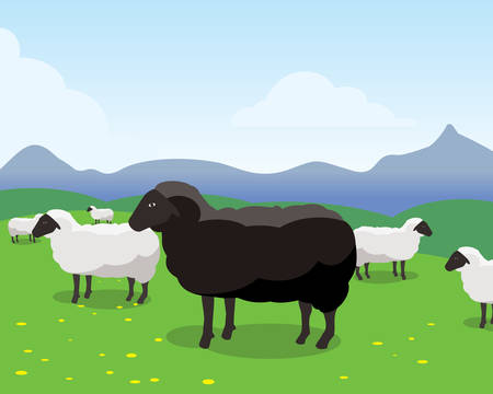 herd of sheep on green meadow, black sheepのイラスト素材