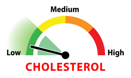 Cholesterol meter on a white background. Vector illustration for your designのイラスト素材