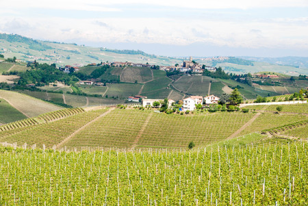 View of Langhe hills near Alba