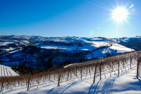 View of Langhe hills with snow, Piedmont - Italyの写真素材
