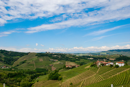 View of Langhe hills near Alba - Piedmont, Italy