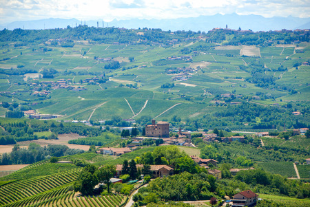 The hills of Langhe with the Castle of Grinzane Cavour, Piedmont - Italy