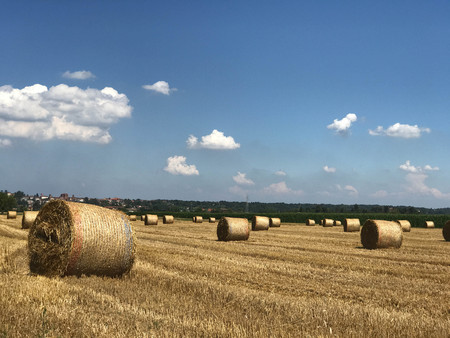 Country landscape with hay balesの写真素材
