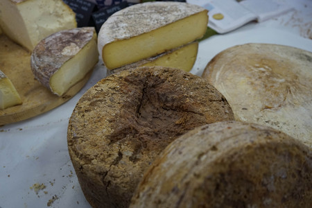 Forms of artisan cheese