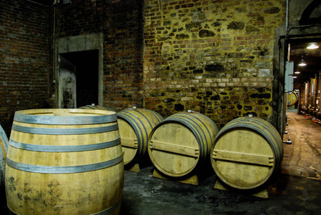 Wine cellar with Barolo wineのeditorial素材