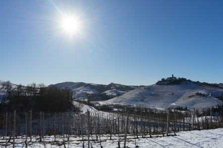 Hills of the Langhe covered by snow, Piedmont - Italyの写真素材
