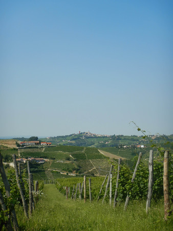 View on the Western Langhe near Neive, Piedmont - Italyの写真素材
