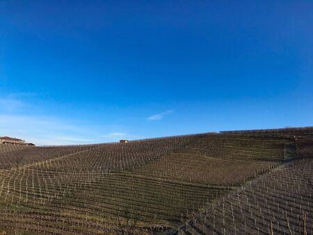 The hills of the Bussia region - Monforte d'Alba - Piedmont - Italy