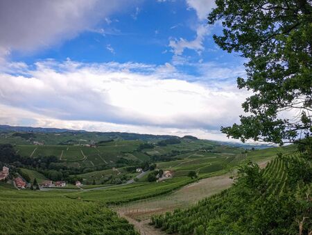 Panoramic wiew of the hills of the Langhe from Novello, Piedmont - Italy