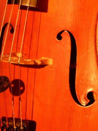A cello plays in the orchestraの写真素材
