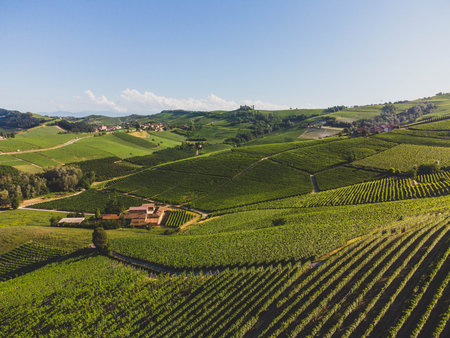 The vineyards on the Langhe hills seen from La Morra, Piedmont - Italy