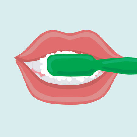 Vector cartoon illustration of a woman mouth . Brush and clean teeth rightly with a toothbrush. Healthy, white teeth. Open mouth. Mouth hygiene.のイラスト素材