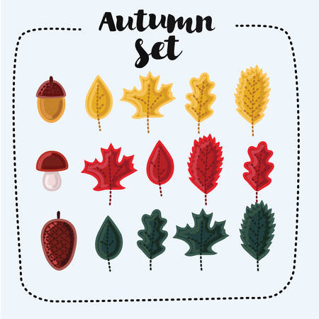 Vector set of cartoon cute colorful illustrations of autumn fallen leaves, acorn, cone and mushroom , isolated on white backgroundのイラスト素材