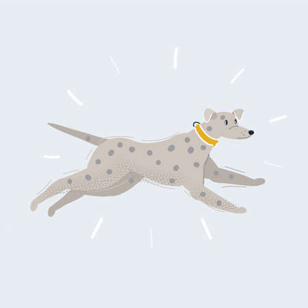Vector illustration of running dalmatian on white background.のイラスト素材