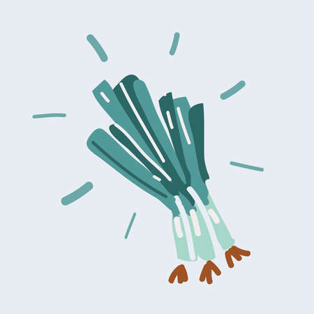 Vector illustration of Green spring onions. Fresh cut green onion.のイラスト素材