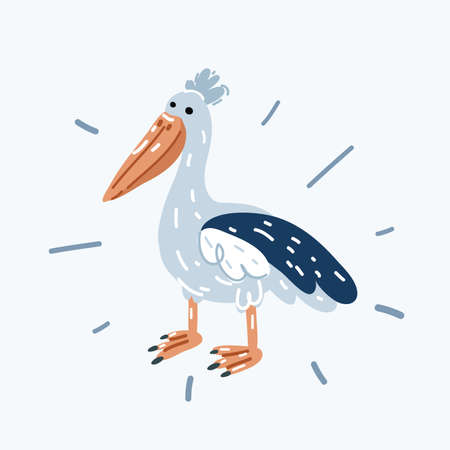 Pelican vector illustrationのイラスト素材