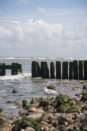 waterscape in Brittany, Franceの写真素材