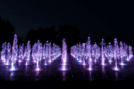 Colored water dance in the parkの写真素材