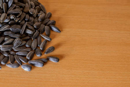 Black sunflower seeds.の写真素材