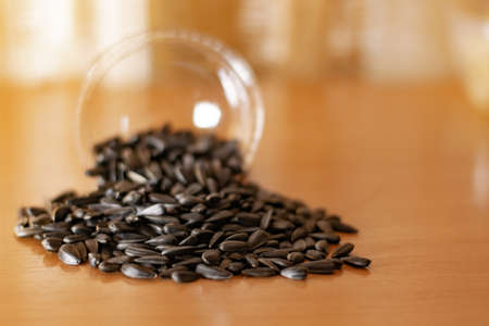 Black sunflower seeds.の写真素材