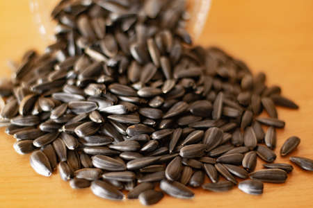 Black sunflower seeds.の写真素材