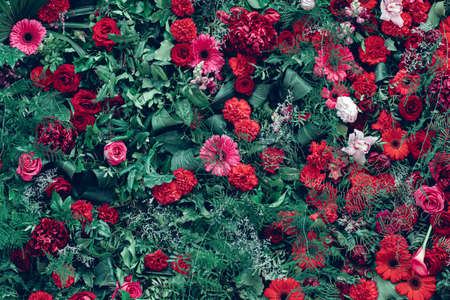Flower texture background for wedding scene. Roses, peonies and hydrangeasの写真素材