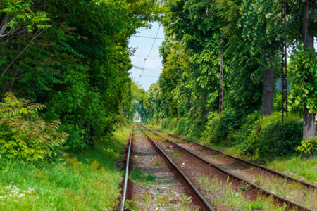 tunnel from trees across the railway. Timisoara. Romaniaの写真素材