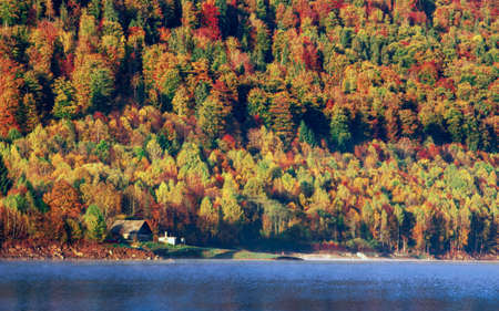 the mountain autumn landscape with colorful forestの写真素材