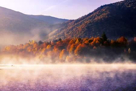 the mountain autumn landscape with colorful forestの写真素材