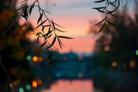 sunset seen on the banks of the Bega river in Timisoaraの写真素材