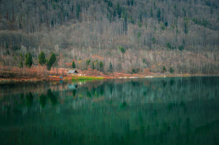 the mountain autumn landscape with colorful forestの写真素材