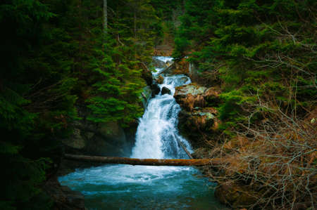 Waterfall mountain view close up. Mountain river waterfall landscape. Waterfall river sceneの写真素材