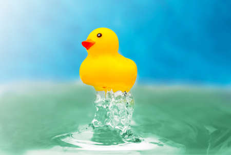 yellow toy duckling in blue watherの写真素材