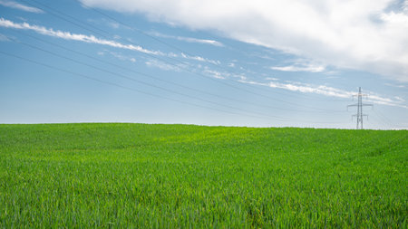 Green grass over a blue sky. Beauty natural backgroundの写真素材