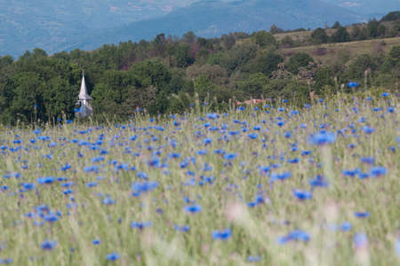 Countryside landscape in Malaiesti village in Romania.の写真素材