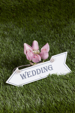 impressive wedding objects in different conceptの写真素材