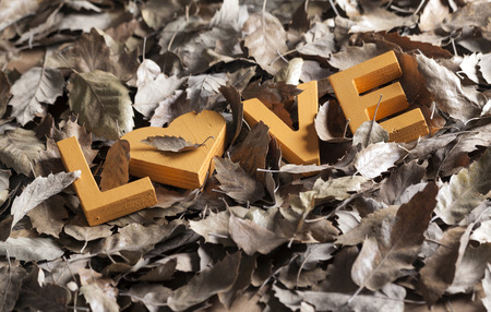 Seasonal sadly and romantic autumn leaves backgroundの写真素材