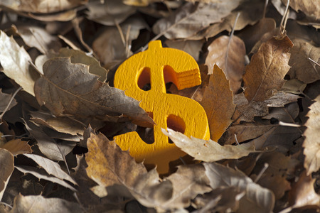 International economy money icon and currency unit on autumn leaves